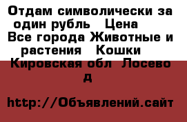 Отдам символически за один рубль › Цена ­ 1 - Все города Животные и растения » Кошки   . Кировская обл.,Лосево д.